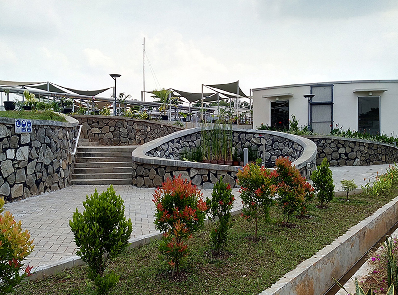 Corodex