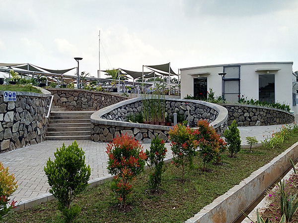 Corodex